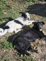 /album/16/597807903-1279770204182316-3384363810959464880-n-jpg/