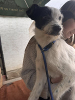 /album/16/602925183-1286566533502683-688422900007067528-n-jpg/