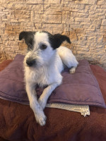 /album/16/609017019-1297194182439918-3145401019284698235-n-jpg/