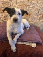 /album/16/610740751-1297194162439920-6739223492443463410-n-jpg/