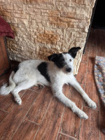 /album/16/610783520-1297194155773254-7805281098904966132-n-jpg/