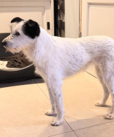 /album/16/631709014-122143245020960188-8141987036871646180-n-jpg/