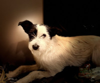 /album/16/631802829-122143244984960188-3134836666149748017-n-jpg/