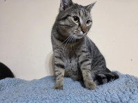 /album/14-02-2025/c6ef57fa-41b4-4f3a-9d84-05e18cadd000-jpeg/