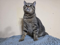 /album/14-02-2025/3741cdbe-14b2-4ba3-8ebb-1f717ac5ce00-jpeg/