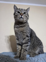 /album/14-02-2025/0600dd8c-fa64-44f2-a42b-746b3816eaa1-jpeg/