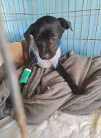 /album/164/493315776-1037233928504673-8675942548375808850-n-jpg/