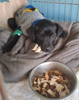 /album/164/493312777-1037234088504657-3336225784886314123-n-jpg/