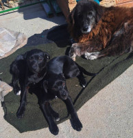 /album/164/492899972-1037233698504696-5829877852895682262-n-jpg/