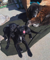 /album/164/493287748-1037233671838032-2777586533376326521-n-jpg/