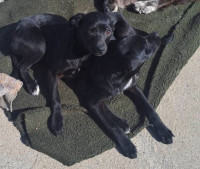 /album/164/493605327-1037233451838054-911904652644014579-n-jpg/