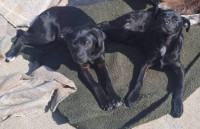 /album/164/492454364-1037233281838071-2531961983135631535-n-jpg/