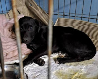 /album/182/493317275-1037237618504304-5317606807735838221-n-jpg/