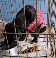 /album/182/493309508-1037237178504348-8826489842775814680-n-jpg/