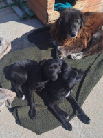 /album/182/493329932-1037233755171357-7427934220928144595-n-jpg/