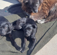 /album/182/493324724-1037233758504690-1569032395035083451-n-jpg1/