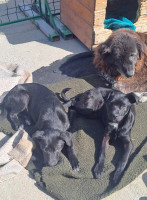 /album/182/493306924-1037233611838038-3303882034350391223-n-jpg/