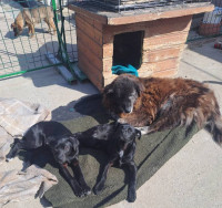 /album/182/493521778-1037233571838042-7643474473282797019-n-jpg1/