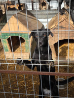 /album/182/20251117-115745-jpg/