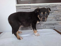 /album/74/624268711-1305779811595991-3343208212140111338-n-jpg/