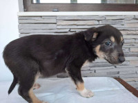 /album/74/624530363-1305779848262654-8063137960240353413-n-jpg/