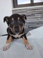 /album/74/625049625-1305779764929329-6800810968752689018-n-jpg/