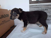 /album/74/624332618-1305779748262664-1222748656947789280-n-jpg/