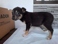 /album/74/624596645-1305779804929325-8601310735323355759-n-jpg/