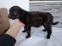 /album/75/625104173-1305773001596672-6821265194412720359-n-jpg/