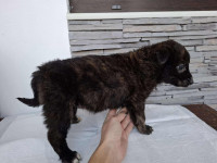 /album/75/624373028-1305773144929991-7053804184825066616-n-jpg/