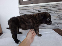 /album/75/625112297-1305773034930002-2499198253683781828-n-jpg/