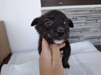 /album/75/624349596-1305773041596668-8415862747729207402-n-jpg/