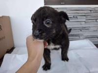 /album/75/624833217-1305773084929997-4715064478852645988-n-jpg/