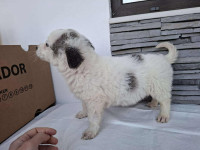 /album/80/624328128-1305771201596852-3683920602761149301-n-jpg/