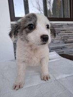 /album/80/624324958-1305771118263527-2081338093100587322-n-jpg/