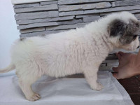 /album/80/624552861-1305771151596857-4074259773961970062-n-jpg/