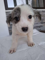 /album/80/624268705-1305771128263526-8827516764975121777-n-jpg/