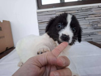 /album/81/624827045-1305776898262949-5721392797940744855-n-jpg/