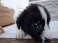 /album/81/625113375-1305776918262947-8790661742613772319-n-jpg/