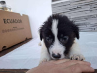 /album/81/624241132-1305776838262955-5024230684904919786-n-jpg/