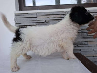 /album/81/624825818-1305776888262950-9117348656628643542-n-jpg/