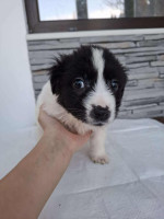 /album/81/624765477-1305776928262946-7300819694520780814-n-jpg/