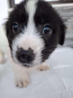 /album/81/624316678-1305776818262957-3828861958757846211-n-jpg/