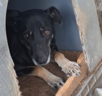 /album/oktober-2025/557440986-1161710769390321-2981616316383879525-n-jpg/