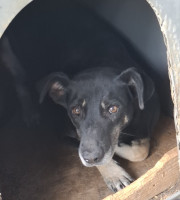 /album/oktober-2025/557024574-1161710782723653-2306683514766869906-n-jpg/