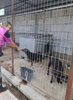 /album/oktober-2025/558088969-1161710799390318-2746248326715609718-n-jpg/