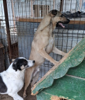 /album/september-20252/576945002-1190220126539385-2438129571496884720-n-jpg/