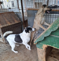 /album/september-20252/577886665-1190220016539396-6849625632083867364-n-jpg/