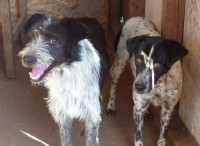 /album/2024-01/391677967-680146837546719-3084230328029321388-n-jpg1/