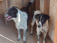 /album/2024-01/391681657-680146694213400-3612931618928505481-n-jpg1/